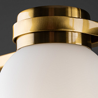 Freya Modern Kamelia Подвесной светильник цвет: латунь FR5446PL-04BS