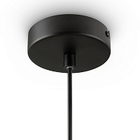 Freya Crystal Tesse Подвесной светильник цвет: черный FR1011PL-01B1