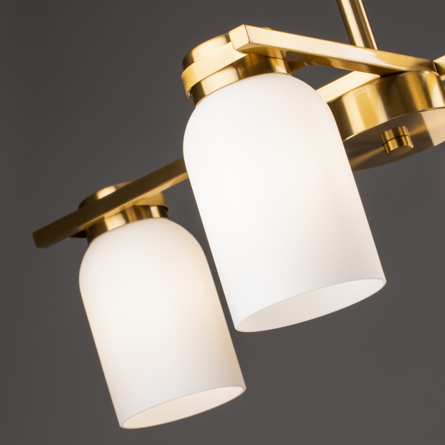 Freya Modern Kamelia Подвесной светильник цвет: латунь FR5446PL-04BS1