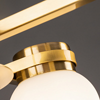 Freya Modern Kamelia Подвесной светильник цвет: латунь FR5446PL-04BS1