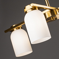 Freya Modern Kamelia Подвесной светильник цвет: латунь FR5446PL-04BS1