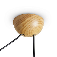 Freya Modern Umbra Потолочный светильник цвет: дерево FR5554CL-01T