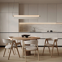 Freya Modern Loyd Подвесной светильник цвет: черный и латунь FR5556PL-L25BBS