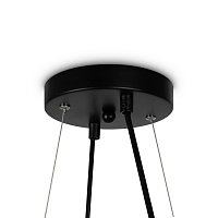 Freya Modern Globos Подвесной светильник цвет: черный FR5222PL-08B