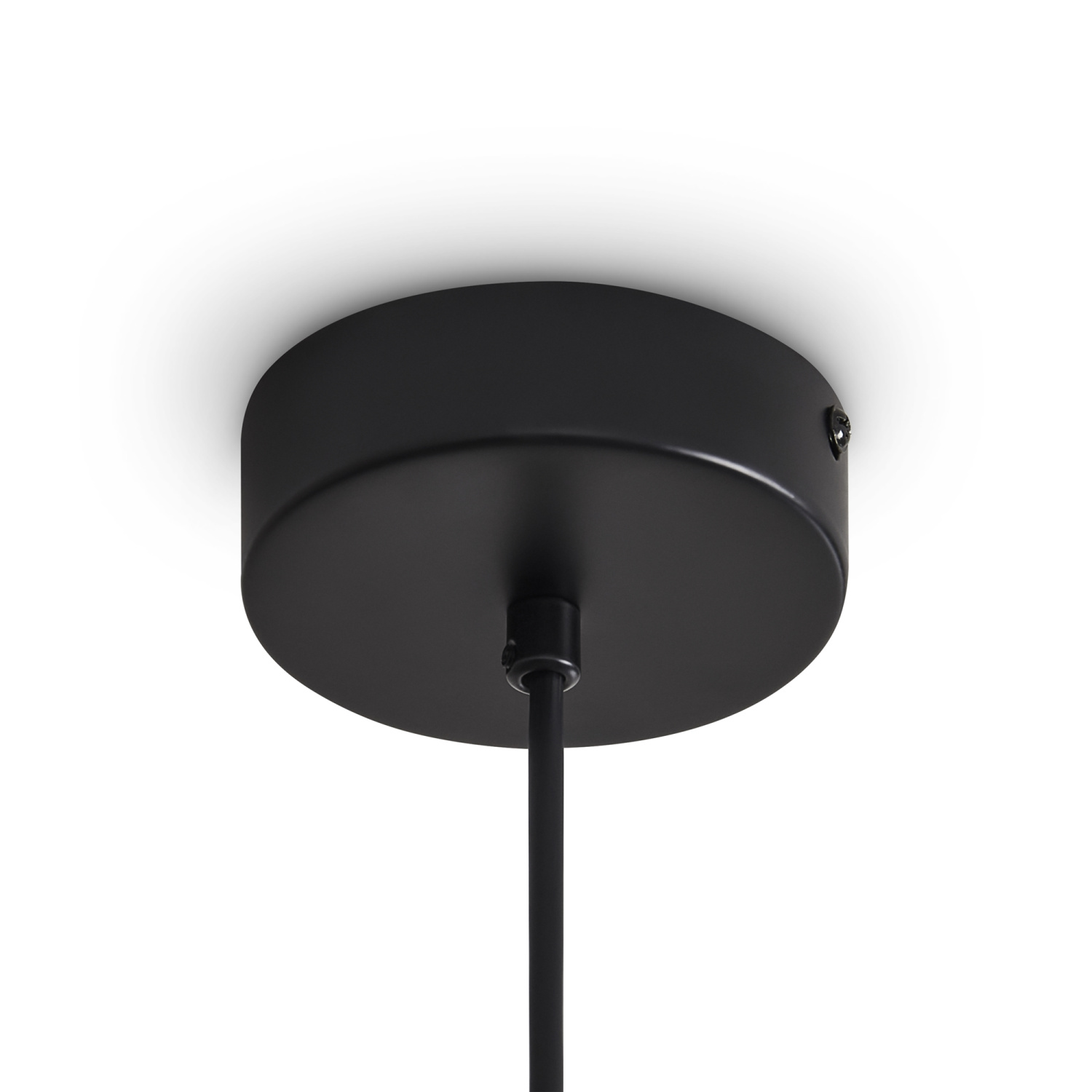 Freya Modern Ice Подвесной светильник цвет: черный FR5541PL-L5B