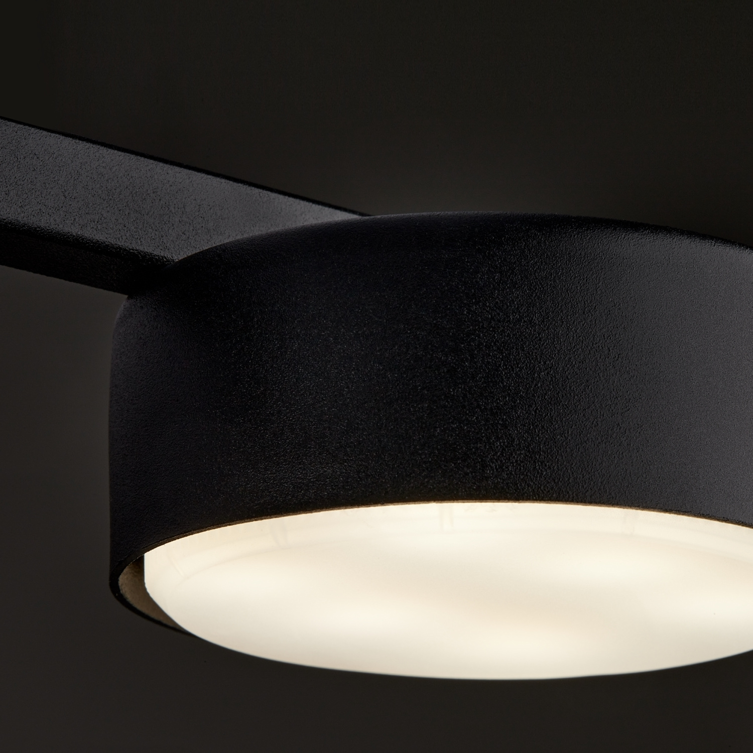 Freya Modern Tactic Потолочный светильник цвет: черный FR5363CL-05B