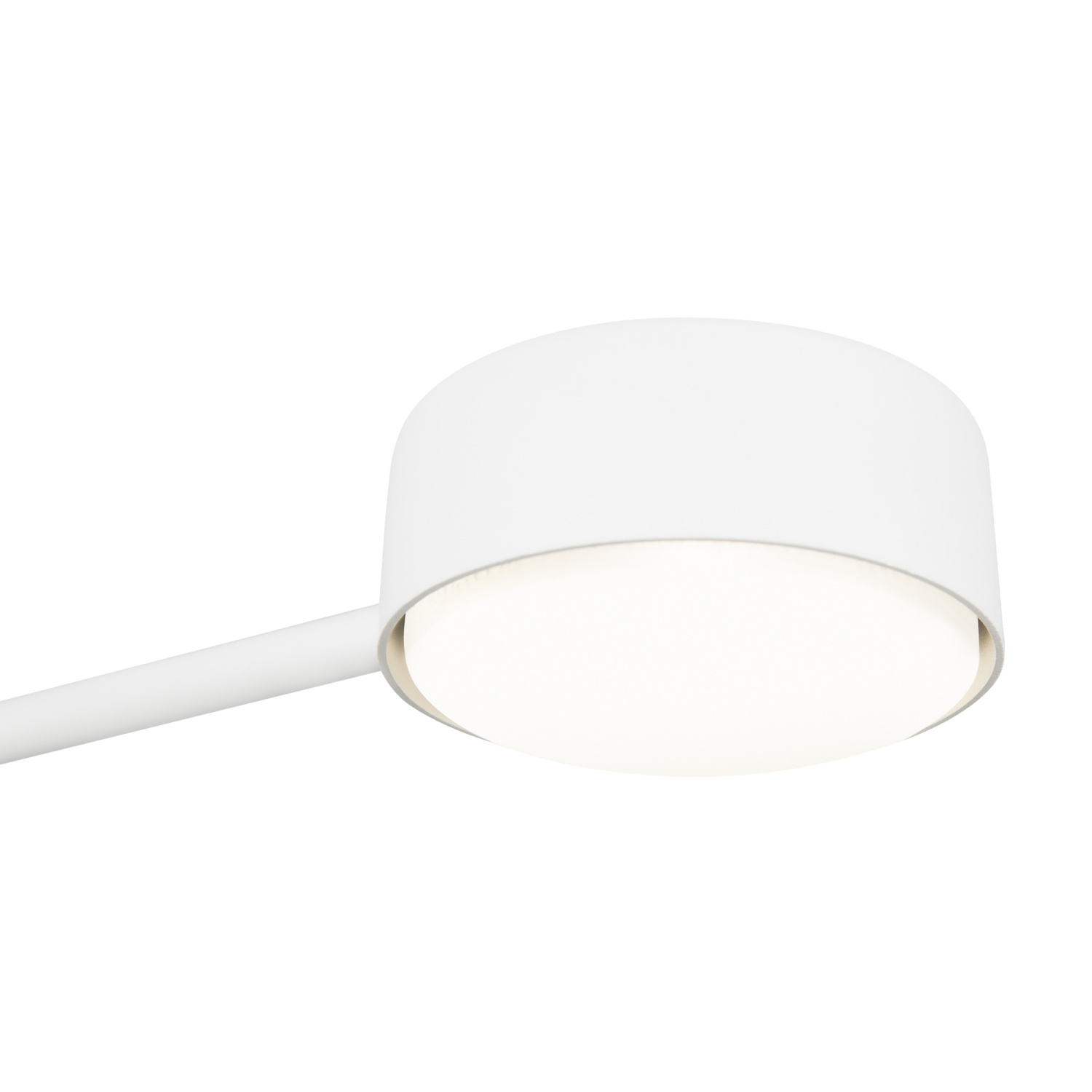 Freya Modern Tactic Потолочный светильник цвет: белый FR5363CL-02W1