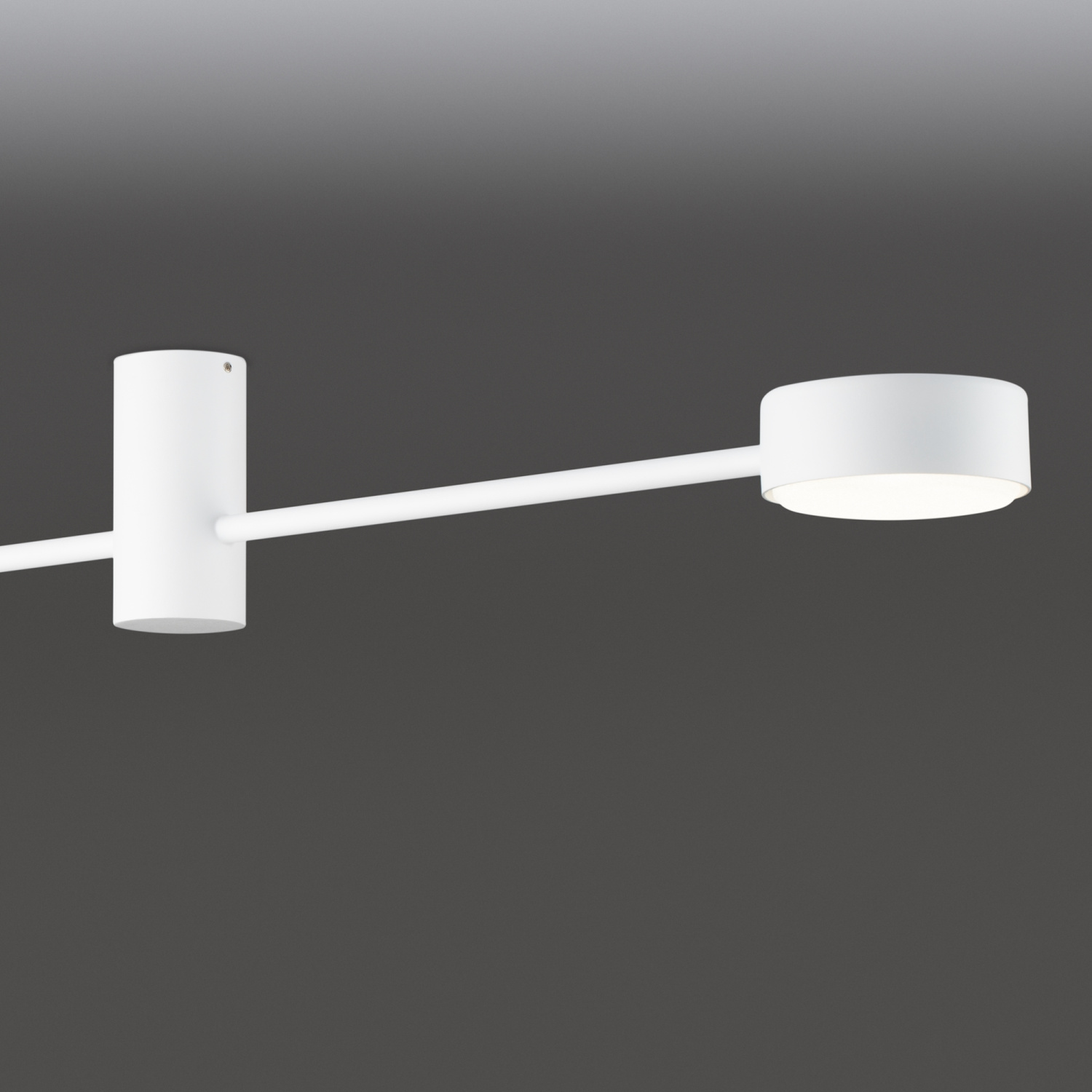 Freya Modern Tactic Потолочный светильник цвет: белый FR5363CL-02W1