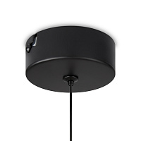 Freya LED Ida Подвесной светильник цвет: черный FR6133PL-L4C