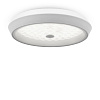 Freya LED Cells Потолочный светильник цвет: белый FR10012CL-L24W