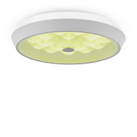 Freya LED Cells Потолочный светильник цвет: белый FR10012CL-L24W