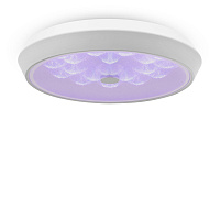 Freya LED Cells Потолочный светильник цвет: белый FR10012CL-L24W