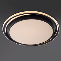 Freya LED Lisoa Потолочный светильник цвет: черный FR10031CL-L98B