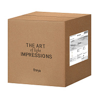 Freya Modern Sara Подвесной светильник цвет: латунь FR5130PL-01BS