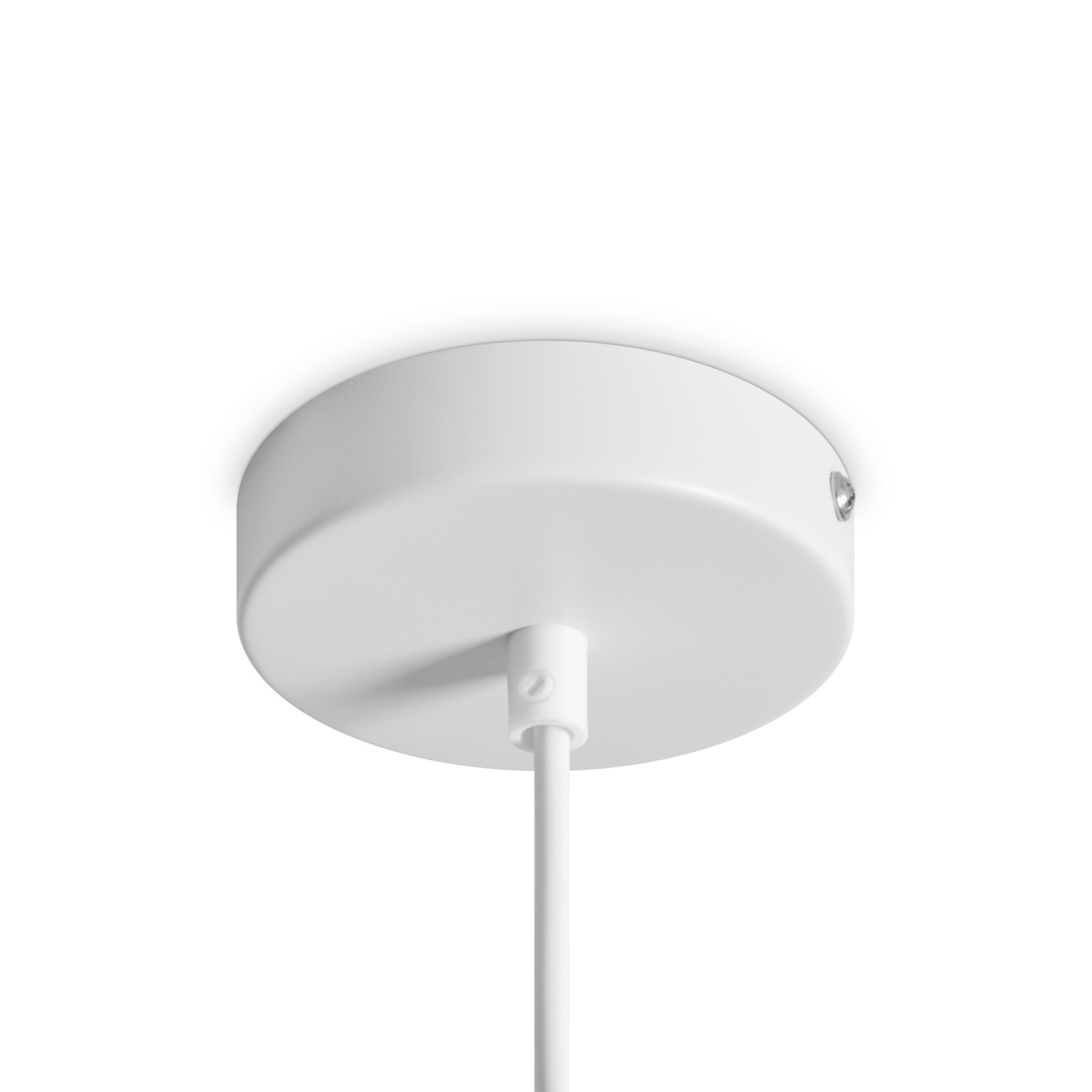 Freya Modern Shapes Подвесной светильник цвет: белый FR5530PL-L10W