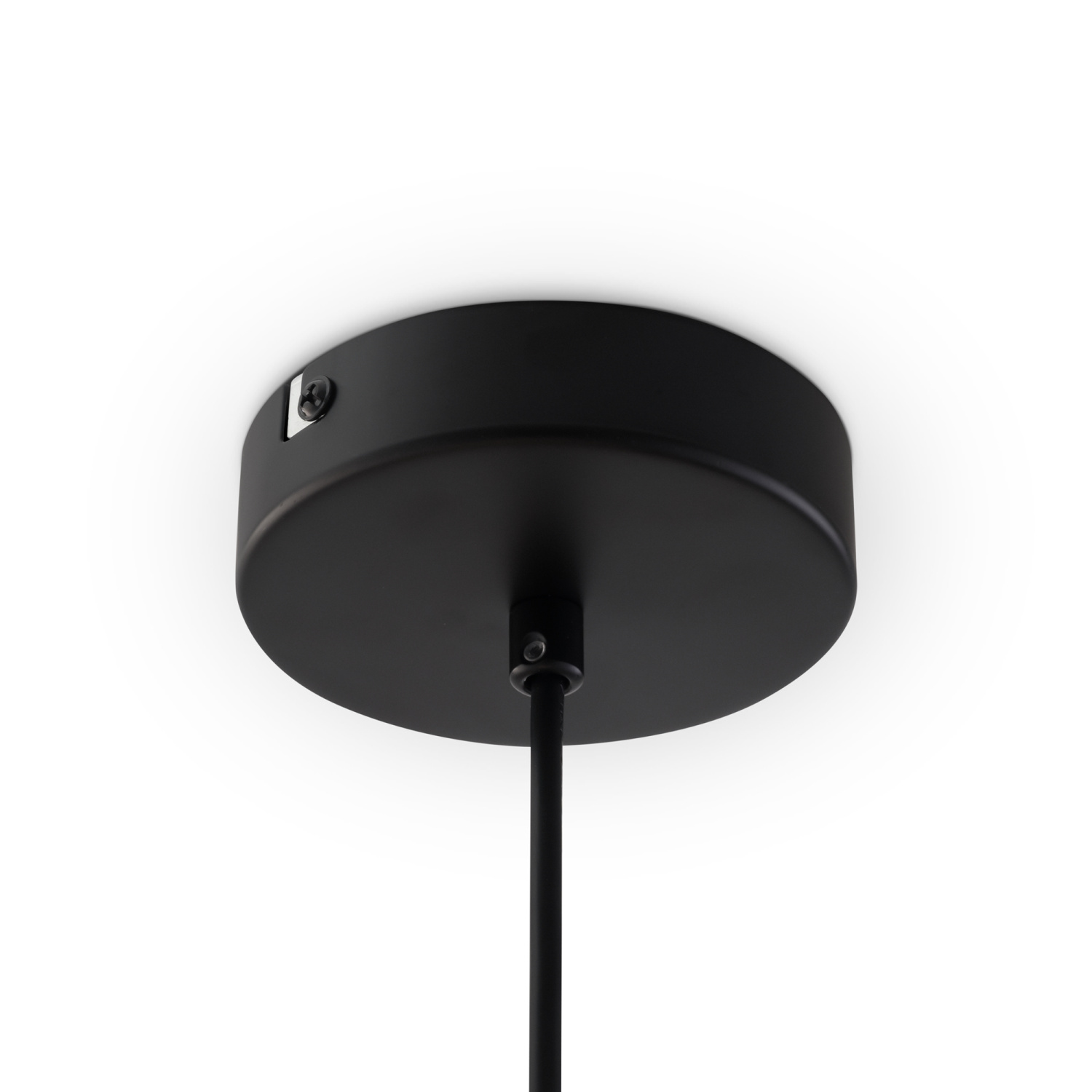 Freya Modern Evidence Подвесной светильник цвет: черный FR5372PL-02B