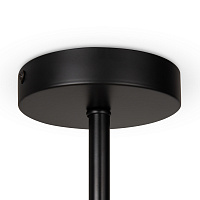 Freya Modern Sphirity Потолочный светильник цвет: черный FR5376CL-04B