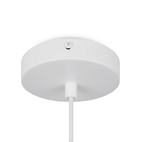 Freya Modern Moth Подвесной светильник цвет: белый FR5392PL-01W1