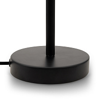 Freya Modern Evidence Настольный светильник цвет: черный FR5372TL-01B