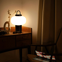 Freya LED Take Настольный светильник цвет: черный FR6175TL-L10B