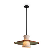 Freya Modern Fly Подвесной светильник цвет: черный FR5489PL-01GT