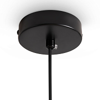 Freya Modern Fly Подвесной светильник цвет: черный FR5489PL-01GT