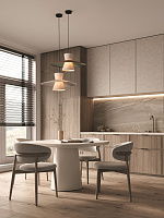 Freya Modern Fly Подвесной светильник цвет: черный FR5489PL-01GT