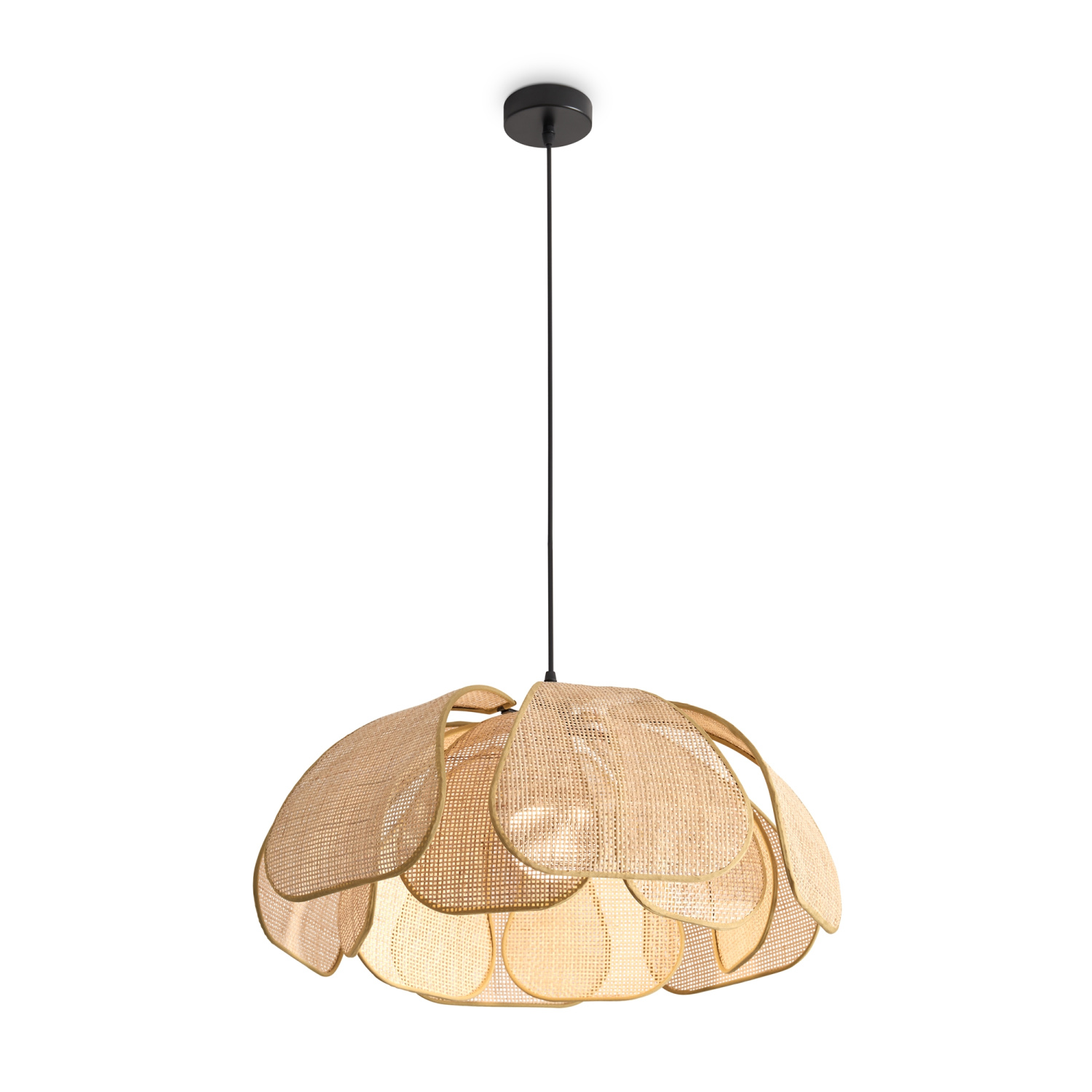 Freya Modern Cocoon Подвесной светильник цвет: черный FR5529PL-01B