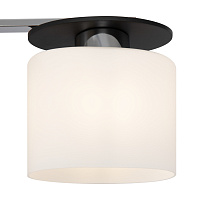 Freya Modern Bice Потолочный светильник цвет: хром FR5101-CL-04-CN