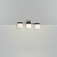 Freya Modern Bice Потолочный светильник цвет: хром FR5101-CL-03-CN