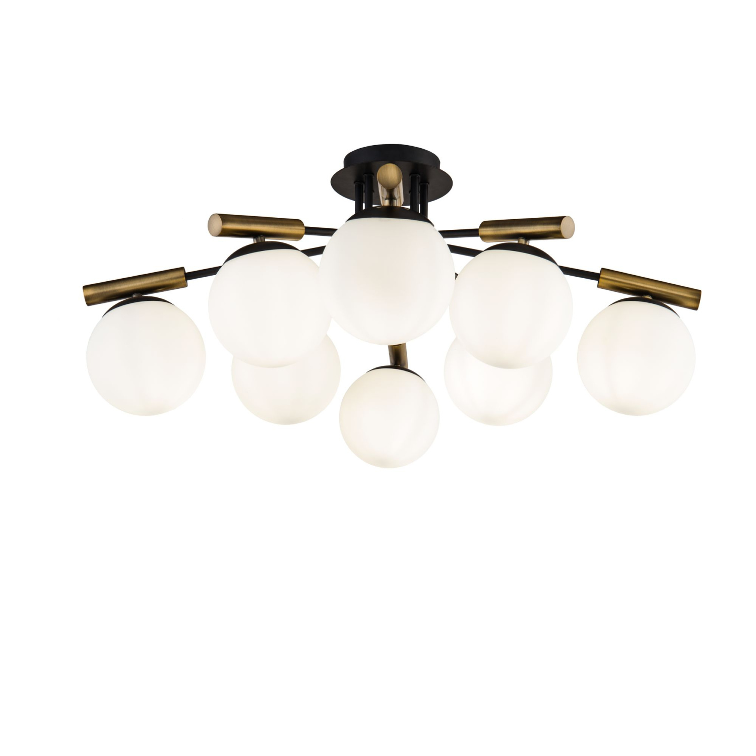 Freya Modern Paolina Потолочный светильник цвет: черный FR5011CL-08B