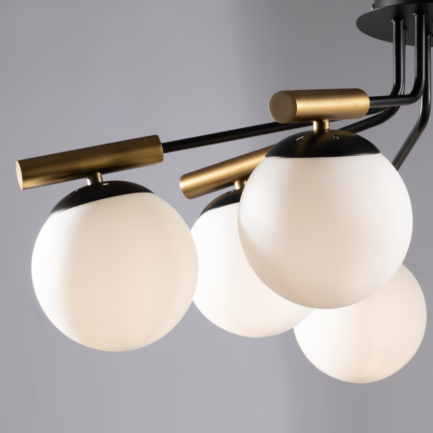 Freya Modern Paolina Потолочный светильник цвет: черный FR5011CL-08B