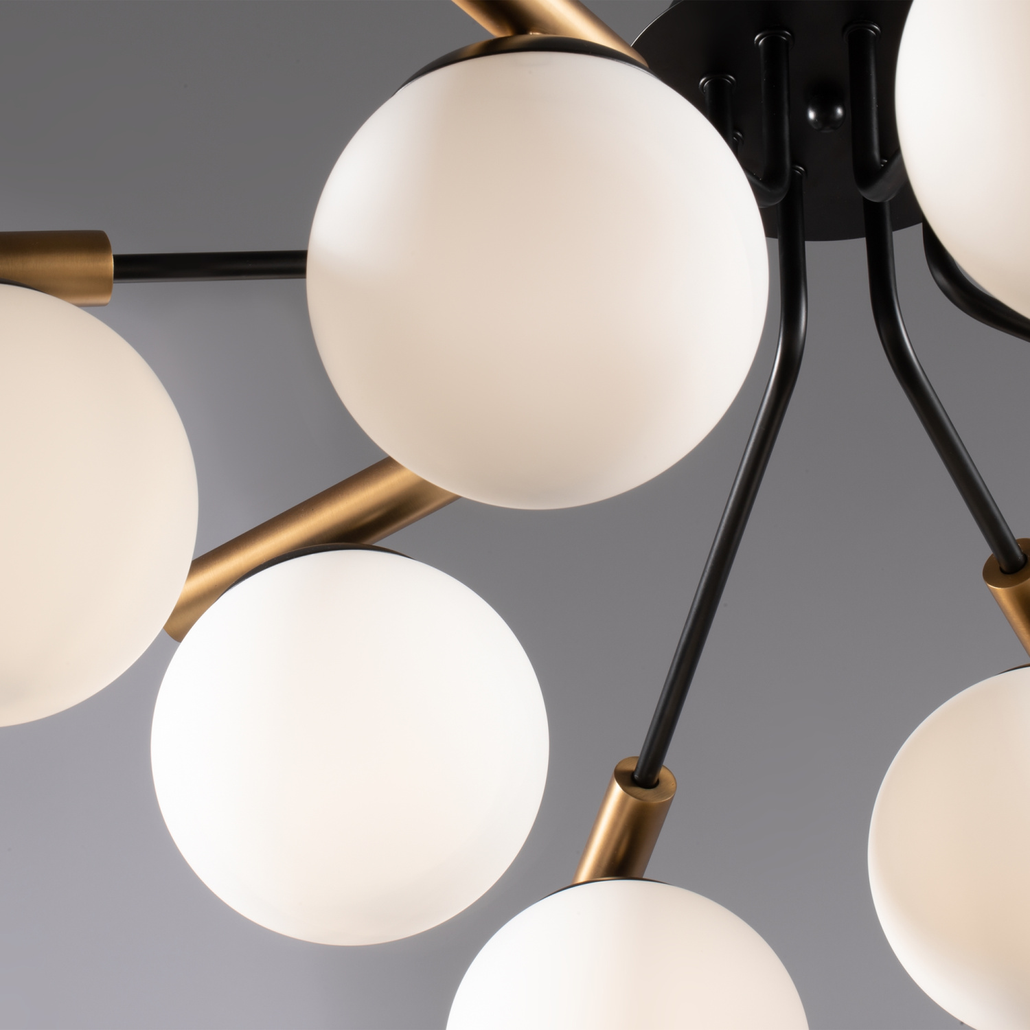 Freya Modern Paolina Потолочный светильник цвет: черный FR5011CL-08B