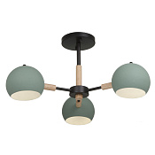 Freya Modern Trisha Потолочный светильник цвет: черный FR5032CL-03B