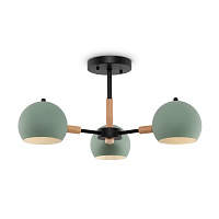 Freya Modern Trisha Потолочный светильник цвет: черный FR5032CL-03B