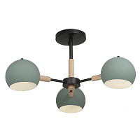 Freya Modern Trisha Потолочный светильник цвет: черный FR5032CL-03B