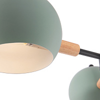 Freya Modern Trisha Потолочный светильник цвет: черный FR5032CL-03B