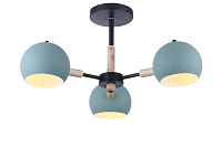 Freya Modern Trisha Потолочный светильник цвет: черный FR5032CL-03B