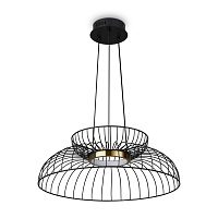 Freya Modern Citrus Подвесной светильник цвет: черный FR5398PL-L6B