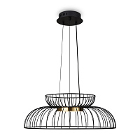 Freya Modern Citrus Подвесной светильник цвет: черный FR5398PL-L6B