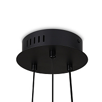 Freya Modern Citrus Подвесной светильник цвет: черный FR5398PL-L6B