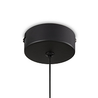 Freya LED Ida Подвесной светильник цвет: черный FR6133PL-L4W