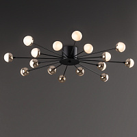 Freya Modern Celebrity Потолочный светильник цвет: черный FR5242CL-16B