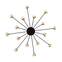 Freya Modern Celebrity Потолочный светильник цвет: черный FR5242CL-16B