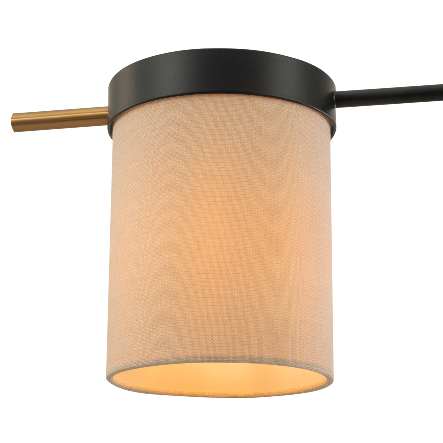 Freya Modern Bogy Потолочный светильник цвет: черный FR5377CL-04B