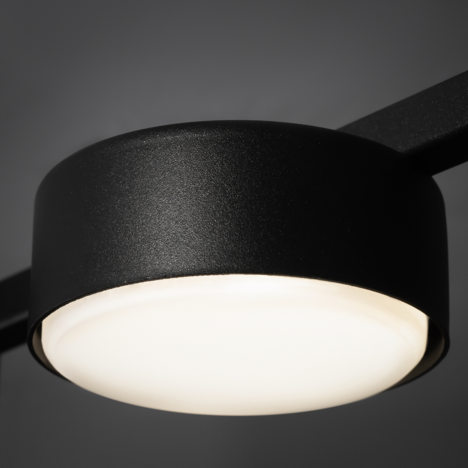 Freya Modern Tactic Потолочный светильник цвет: черный FR5363CL-02B
