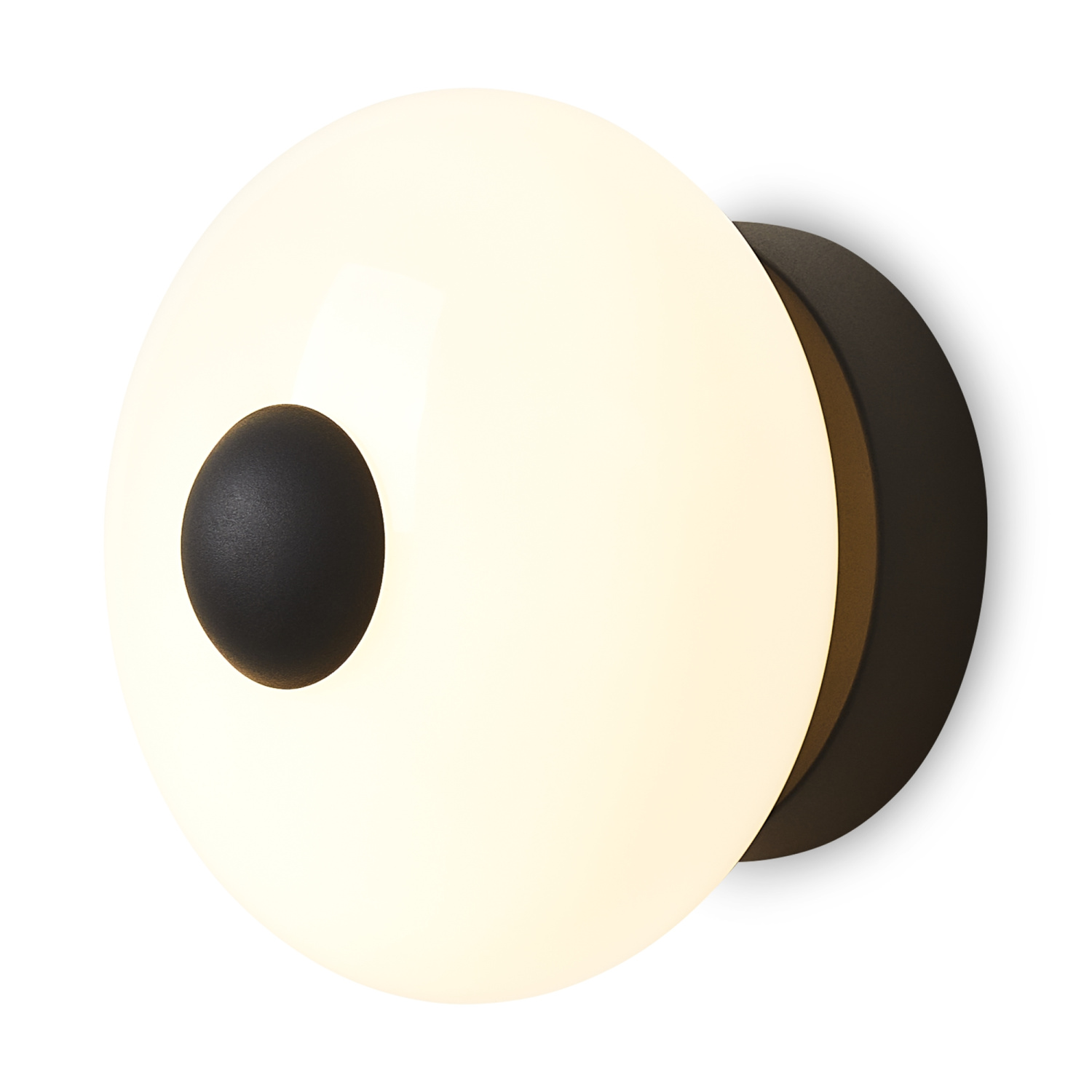 Freya Modern Aqua Настенный светильник (бра) цвет: черный FR5553WL-L6B