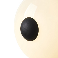 Freya Modern Aqua Настенный светильник (бра) цвет: черный FR5553WL-L6B