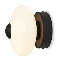 Freya Modern Aqua Настенный светильник (бра) цвет: черный FR5553WL-L6B