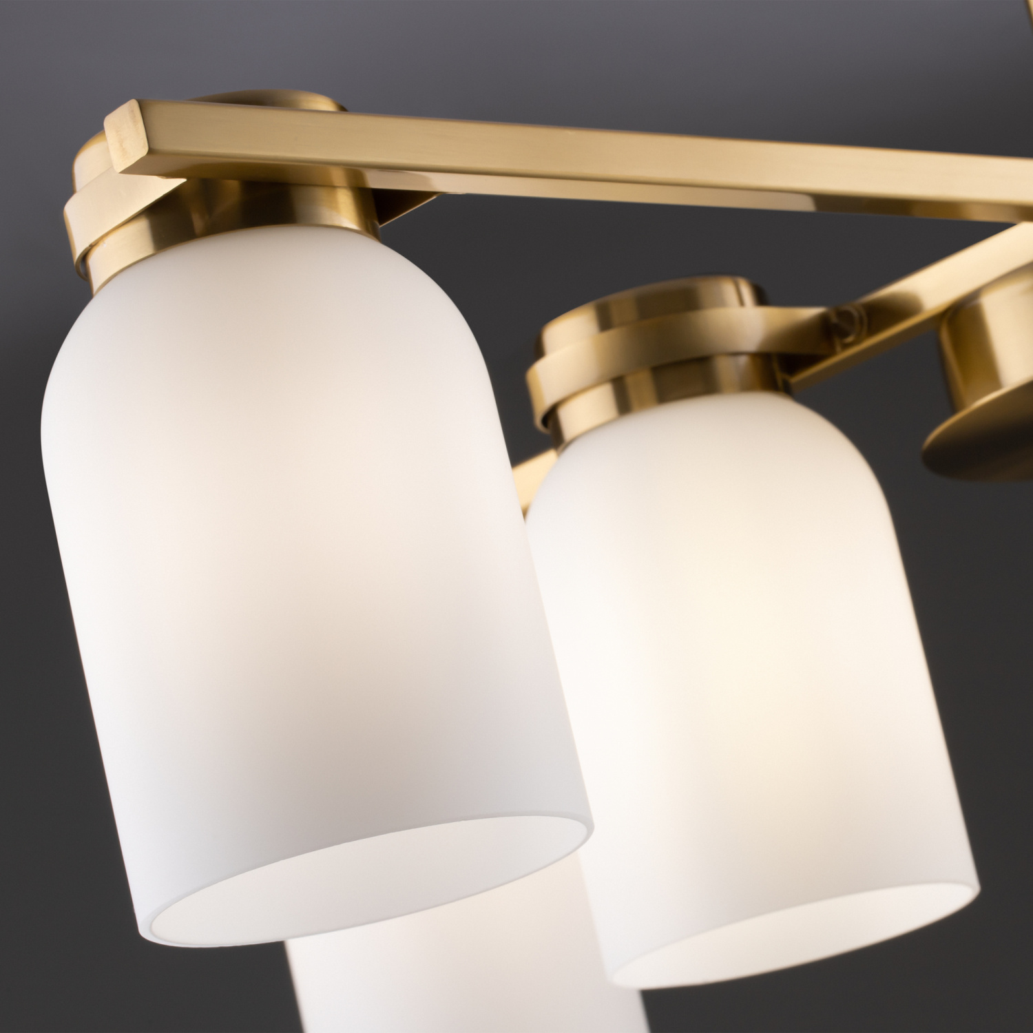 Freya Modern Kamelia Подвесной светильник цвет: латунь FR5446PL-06BS